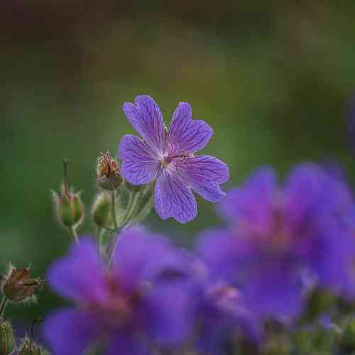 شروین حاجی پور برای تغییر مغز های پوسیده